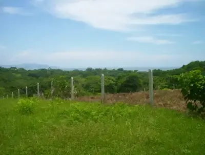 Terrain de 2 027 m² avec vue sur l'océan à Guacalillo 3