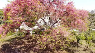 Propriété Incroyable de Style Artistique et de Villégiature à Vendre – San Isidro 3