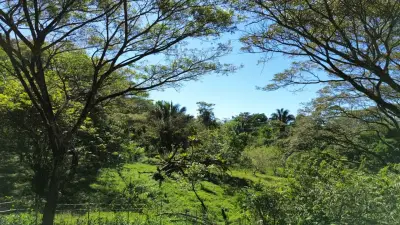 Terrain serein de 5000 m² - Nature luxuriante et potentiel de développement - À 10 minutes de Santa Teresa 3