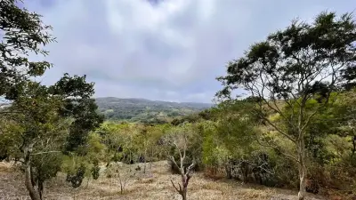Lot À Vendre À San Pedro, San Ramón 5