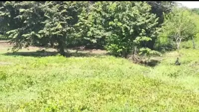 Terrain de choix à La Fortuna, Bagaces - Construisez la maison de vos rêves ! 4