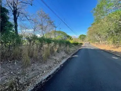 À Vendre : Magnifique terrain plat à La Ceiba, Orotina 2