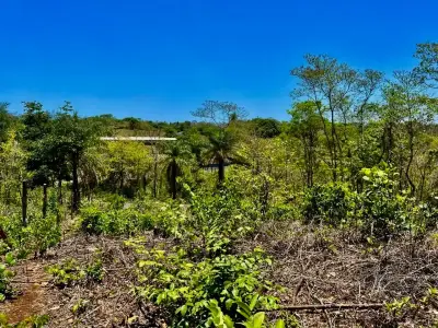 Terrain de choix à développer avec vue sur la Réserve Carara et la rivière Tárcoles | 2 hectares 4