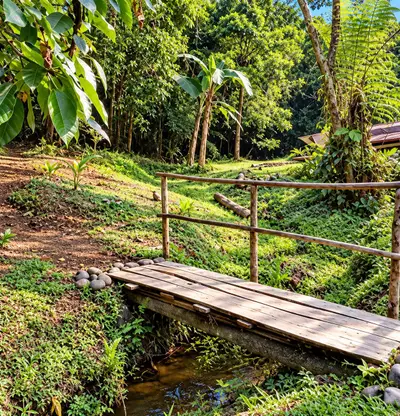 FOR SALE / Private 2-Hectare Refuge in Nature Reserve with Forest Views, Guápiles, Limón 2