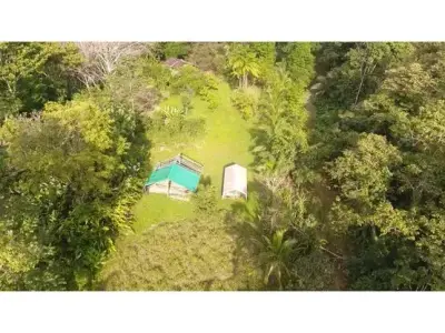 102 hectares de terrain à Nanabri, Limón 3