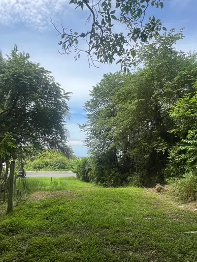 Exclusive Lot Facing Playa Hermosa: Investment and Tropical Lifestyle 4