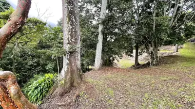 Terrain Commercial À Vendre À San Miguel, Naranjo 2
