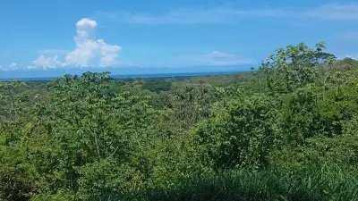 Terrain à Garabito : Lot de 4 acres dans la communauté Eco Desarrollo 2