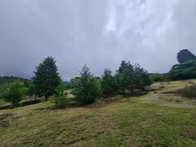 Ferme à vendre à San Isidro-Grecia, Alajuela 2
