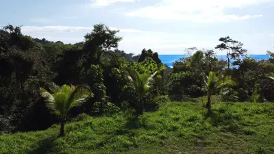 Ocean View Property in Mal País – Ready to Build 3