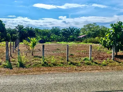 Vaste terrain de 4200 m² à développer ou pour l'agriculture près de Playa Palo Seco, Parrita 3