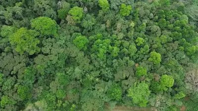 VENTE / Ferme de rêve dans la province d'ALAJUELA 2