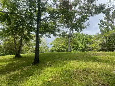 Terrain de 6000 m² prêt à bâtir à Delicias avec projet et permis inclus – 130 000 $
