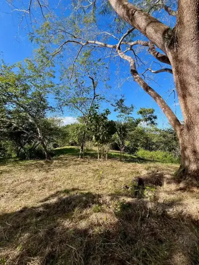 Terrain de 4000m² avec vues partielles sur l'océan à Delicias, près de Montezuma et à 20 min de Santa Teresa, prêt à construire 2