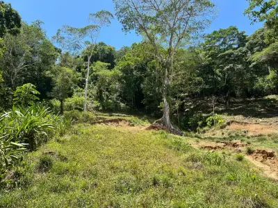 Terrain de développement exceptionnel de 5028 m² à Jacó, Costa Rica – Des possibilités infinies vous attendent 5