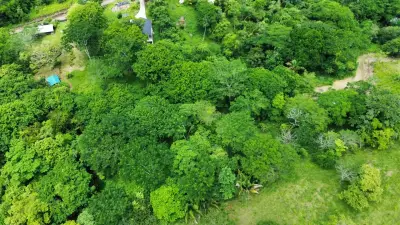 Propriété de rêve à Delicias : 7 100 m² de terrain luxuriant avec ruisseau et arbres fruitiers – À quelques minutes de Santa Teresa 3