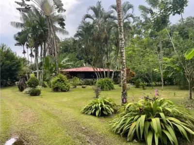 Paradis caribéen à Guácimo, Limón 1