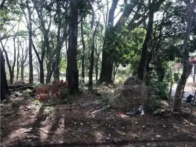 Terrain à bâtir, San Ana Salitral St 2