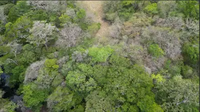 Terrain Exclusif de 6,5 Hectares à Quebrada Grande de Liberia, Guanacaste 4