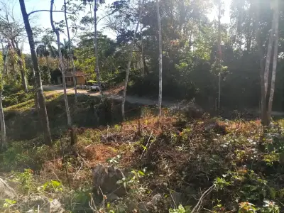 Terrain Serein avec Vue sur la Jungle à Santa Teresa 2