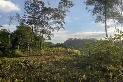 Ocean View Property for Sale in Santa Teresa, Costa Rica 4