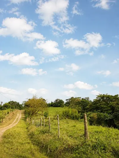 Vaste finca agricole à Parcelas de Zapotal, San Ramón, Alajuela 1