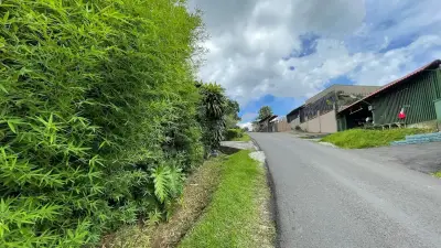 Maison À Vendre À Palmares, Alajuela 5