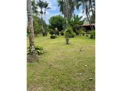Paradis caribéen à Guácimo, Limón 3