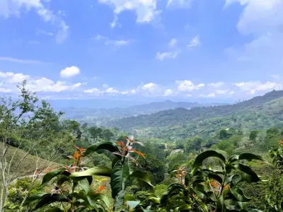 Terrain à vendre à Athènes, Alajuela 5