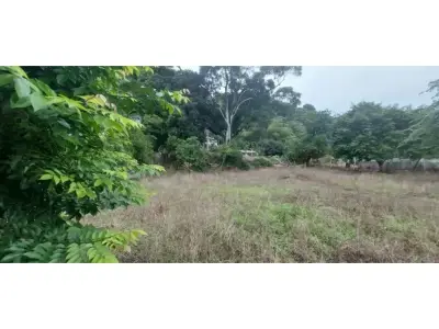 Terrain avec un grand potentiel d'investissement 3