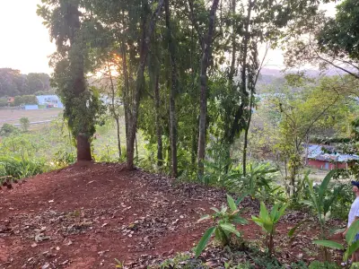 Terrain avec vue sur la montagne 5