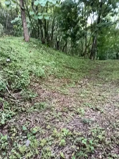 Magnifique terrain 2