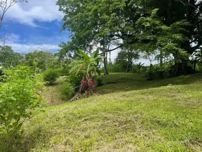 Propriété de rêve à Delicias : 7 100 m² de terrain luxuriant avec ruisseau et arbres fruitiers – À quelques minutes de Santa Teresa 5