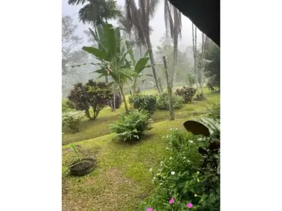 Paradis caribéen à Guácimo, Limón 5