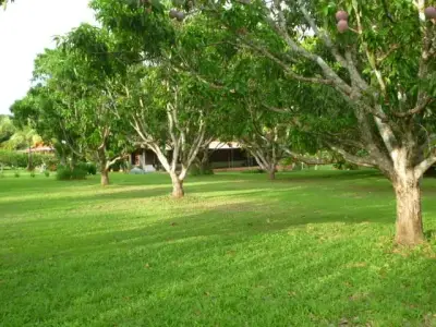 Vaste terrain de 11 380 m² à Orotina, Alajuela - Idéal pour développement ou domaine privé 4