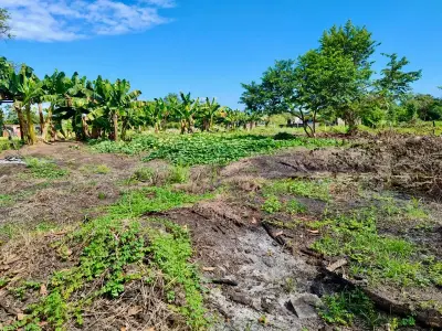 Vaste terrain de 4200 m² à développer ou pour l'agriculture près de Playa Palo Seco, Parrita 4