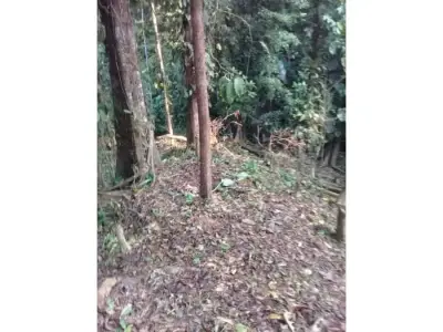 Oasis de nature à Quepos 3