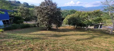 Terrain à vendre à Naranjo 4