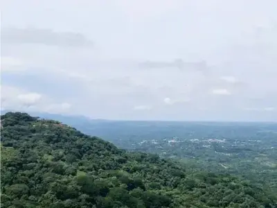 À vendre : Terrain constructible à Desmonte 1