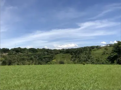 Terrain spectaculaire avec vue panoramique et potentiel illimité à Alajuela 1