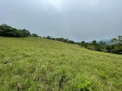 À Vendre : Ferme à développer à Puriscal 4