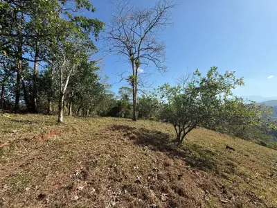 Santuario de Montagne Éco-Luxe : 11,48 Hectares de Paradis Immaculé : Forêt Luxuriante, Rivière et Potentiel Agricole à Arenal Puriscal, San José 3
