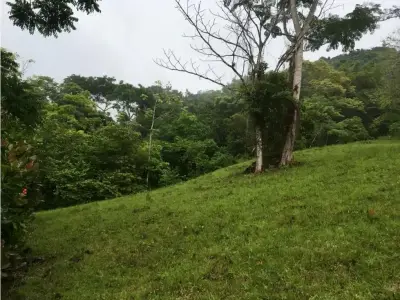 Superbe opportunité d'acquérir votre terrain à Playa Hermosa, Jaco