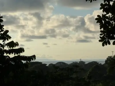 🌊 Luxe Tropical et Investissement : Terrain avec Vues Océan & Jungle et Permis Approuvés 1