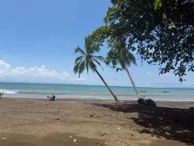Terrain de développement de premier ordre avec vue sur l'océan à Playa Agujas : 5,1 hectares sur la côte de Garabito, Costa Rica 4