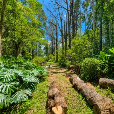 Un joyau caché au cœur de la nature | Terrain à San Rafael de Heredia 1