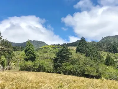 À Vendre / Magnifique Terrain (Avec Permis d'Usage Commercial) San Isidro, Heredia 3
