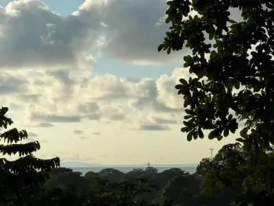 🌊 Luxe Tropical et Investissement : Terrain avec Vues Océan & Jungle et Permis Approuvés 2