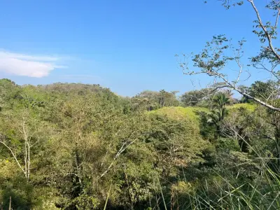 Terrain avec trois sites de construction à quelques minutes de Hermosa, dans un quartier paisible 4