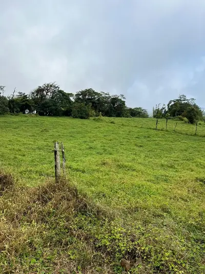 Vaste finca agricole à Parcelas de Zapotal, San Ramón, Alajuela 3